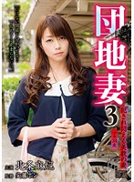 NRPD-03 団地妻 3 犯され悶える美貌の妻 北条麻妃