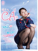 DLDSS-543 飛べないCAは‘ただ’のオスブタを飼っていますー。～フライト欠航日のクズ機長‘教育‘日誌～ 三葉ちはる