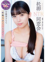 APNS-424 「妊娠させてください…」 托卵NTR同窓会 種無し旦那に耐えかねて 宇流木さらら
